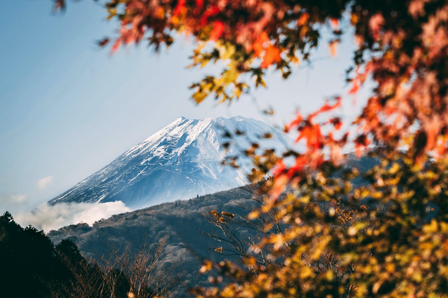 富士山全攻略(上)|四季氣候、最佳景點、交通懶人包 - 第3張圖